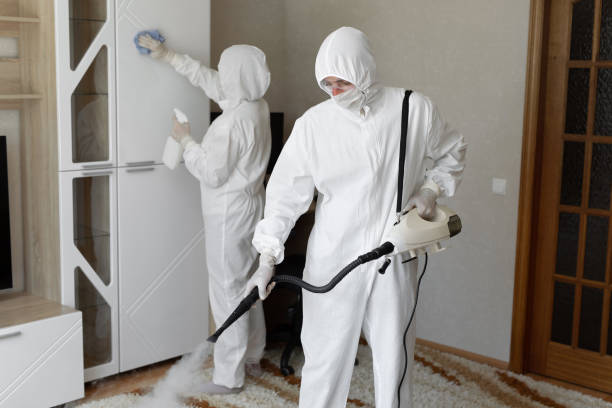 Best Commercial Mold Removal  in Forty Fort, PA